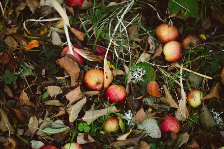 Kompostovisko - ilustračné foto